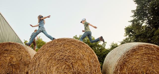 Kids leaping across hay bales by Portraits of Modern Dairy courtesy of Unsplash.